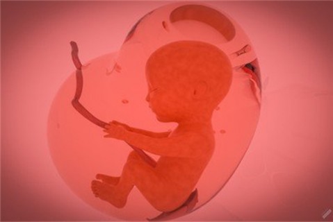 甘肃妇幼保健院试管成功率有多高？哪个医生比较厉害？